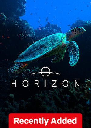 Netflix: Horizon | <strong>Opis Netflix</strong><br> From the turtles of the Farasan Islands to the ibex that dot the Asir Mountains, this documentary captures Saudi Arabia's diverse wildlife and scenery. | Oglądaj film na Netflix.com