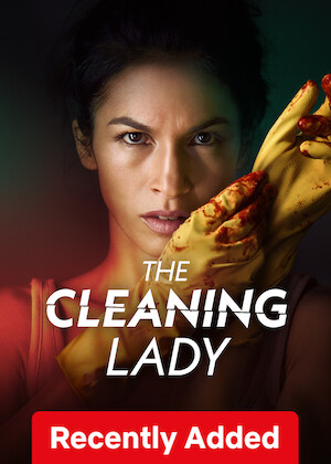 The Cleaning Lady poster